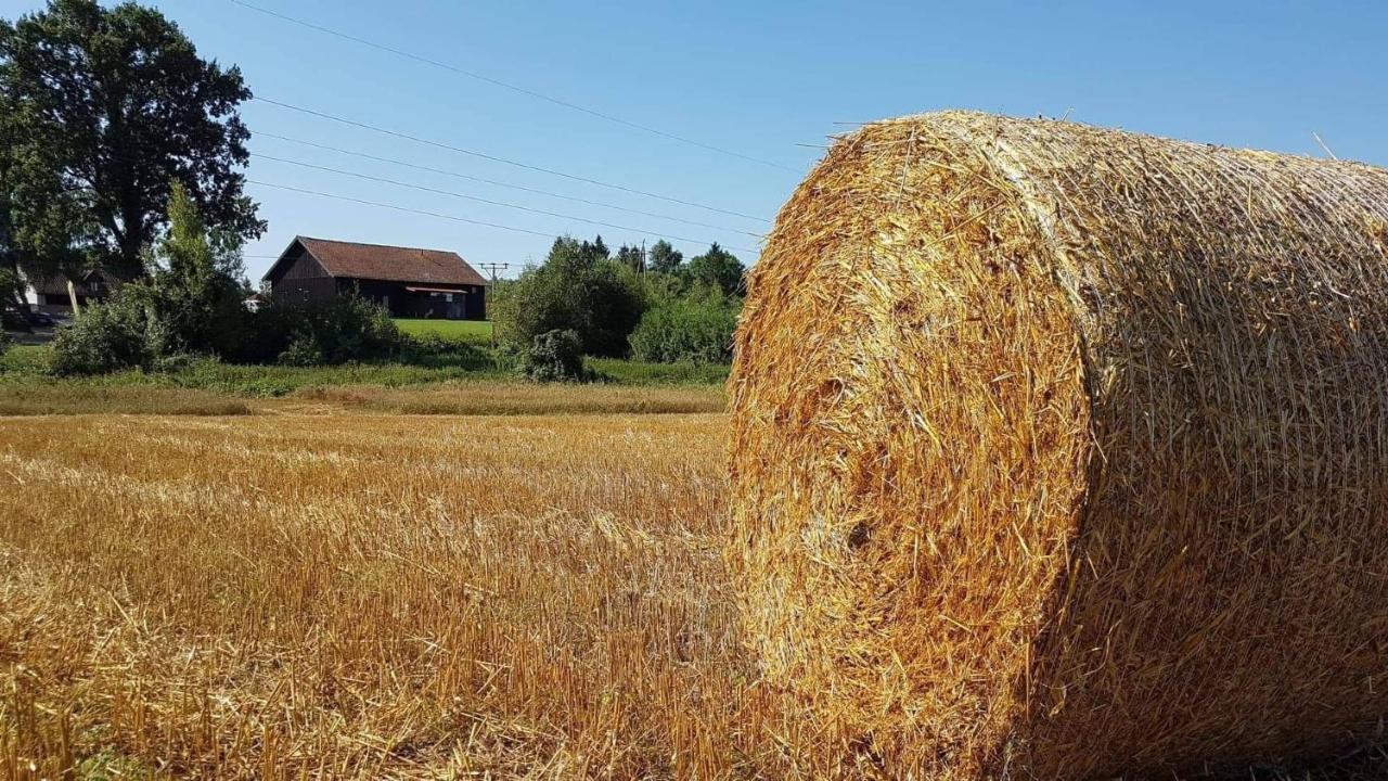 Folwark Tumiany Pokoje & Restauracja Buitenkant foto
