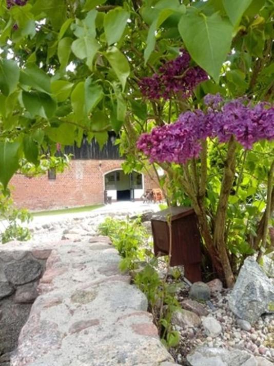 Folwark Tumiany Pokoje & Restauracja Buitenkant foto